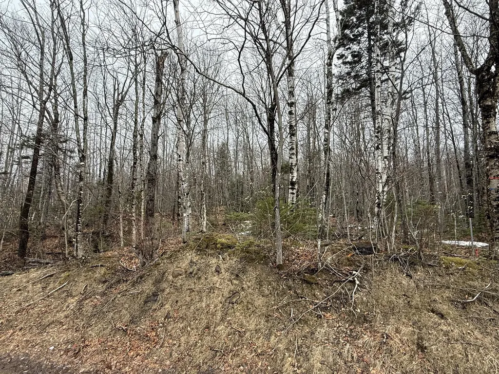 Lot 13w Mountain View Drive Temple ME 04984