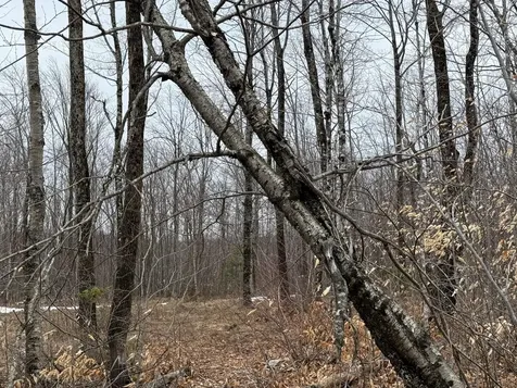 Lot 13w Mountain View Drive Temple ME 04984
