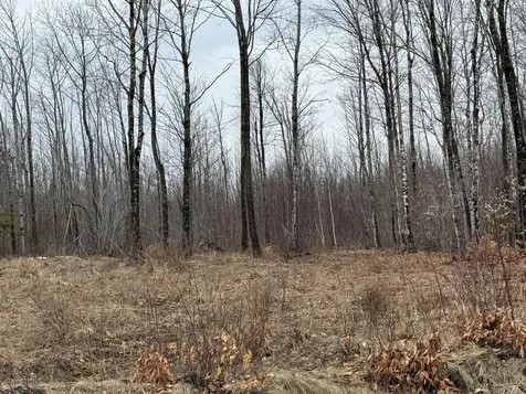 Lot 13w Mountain View Drive Temple ME 04984