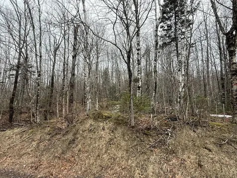 Lot 13w Mountain View Drive Temple ME 04984