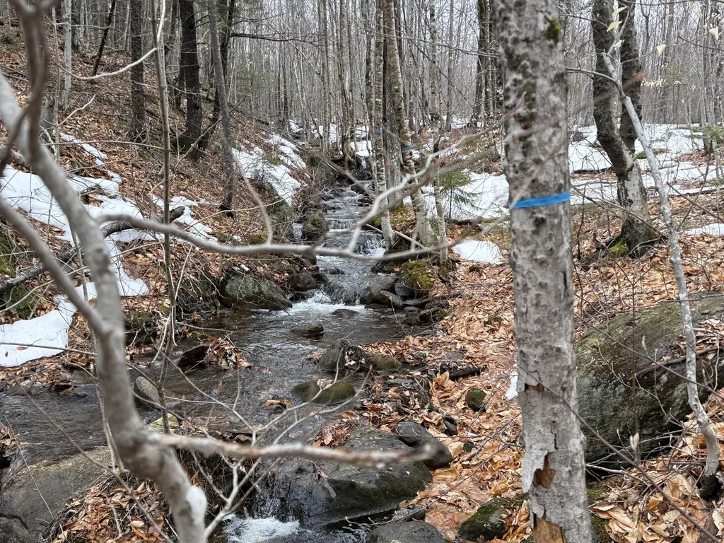 Lot 12w Mountain View Drive Temple ME 04984