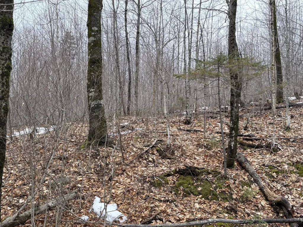 Lot 12w Mountain View Drive Temple ME 04984