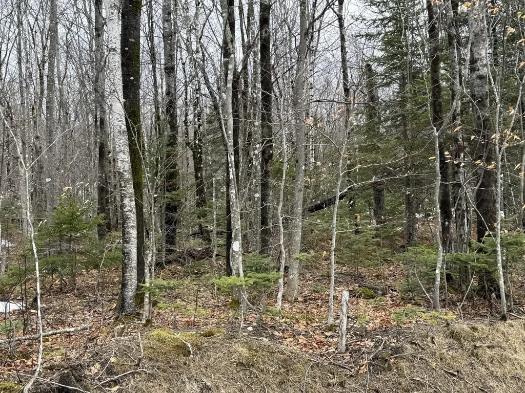 Lot 12w Mountain View Drive Temple ME 04984