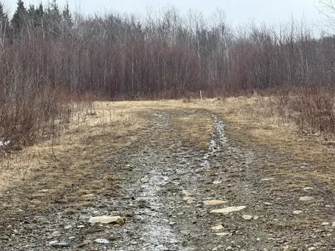 Lot 12W Mountain View Drive Temple ME 04984
