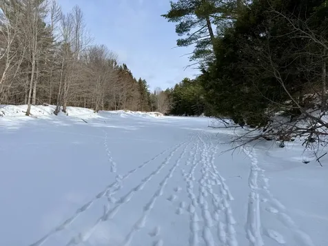 Lot 34 Meadow Wood Drive Brownville ME 04414