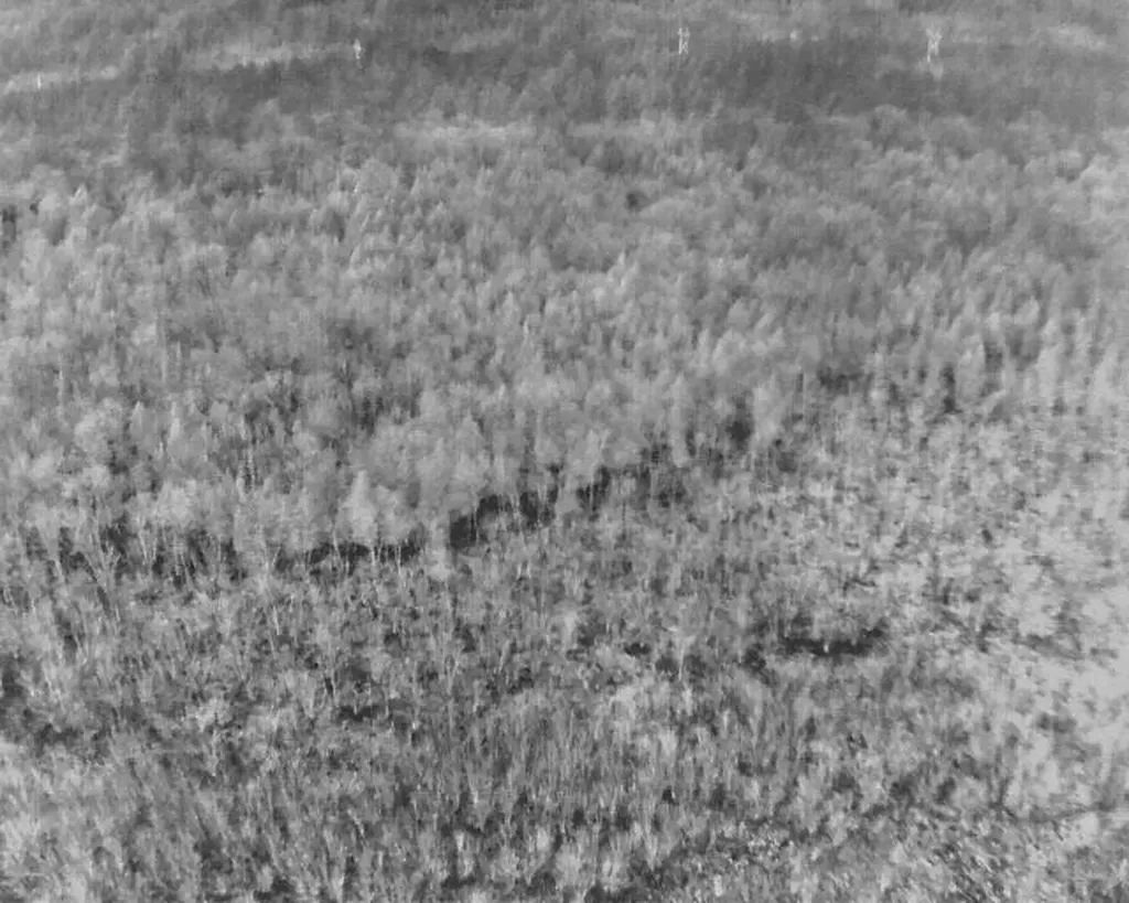 MAP4LOT15 St. John 'S Road Passadumkeag ME 04475