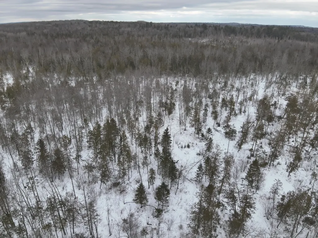 MAP4LOT15 St. John 'S Road Passadumkeag ME 04475