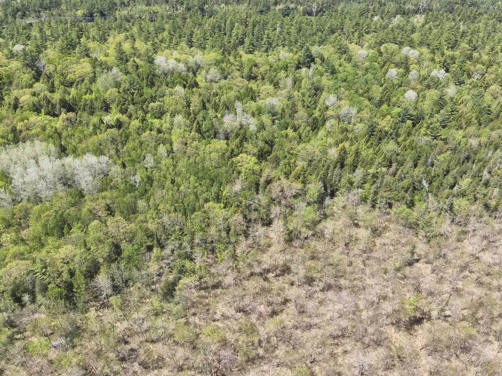 MAP4LOT15 St. John 'S Road Passadumkeag ME 04475