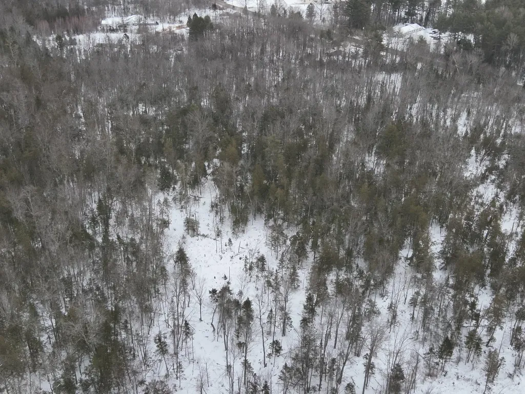 MAP4LOT15 St. John 'S Road Passadumkeag ME 04475