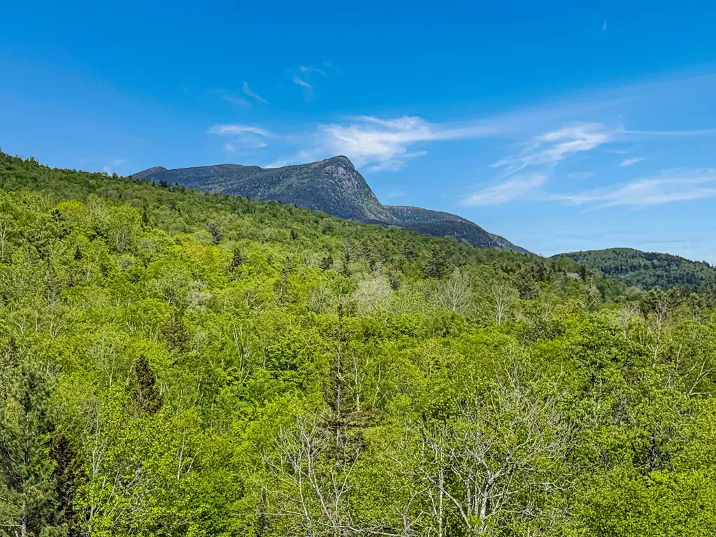 131 Bateman Lane Byron ME 04275