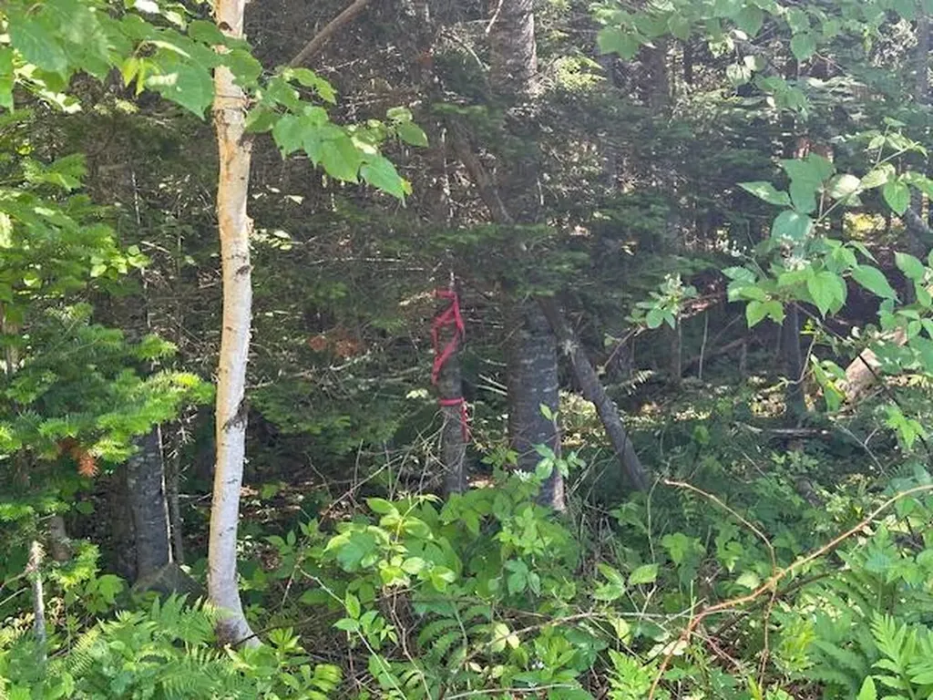 Lot #6 Bonnie Way Winterport ME 04496
