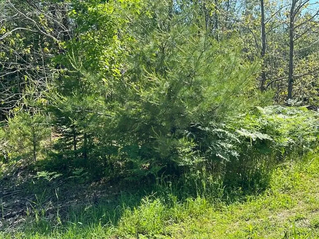 Lot #6 Bonnie Way Winterport ME 04496