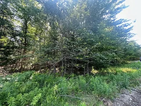Lot #6 Bonnie Way Winterport ME 04496