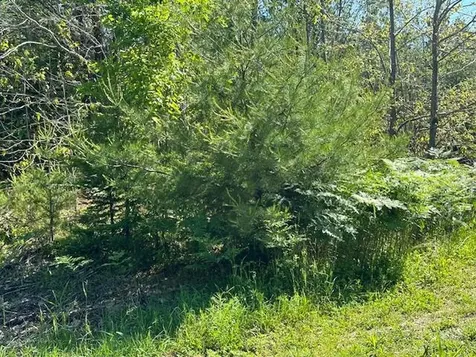 Lot #6 Bonnie Way Winterport ME 04496