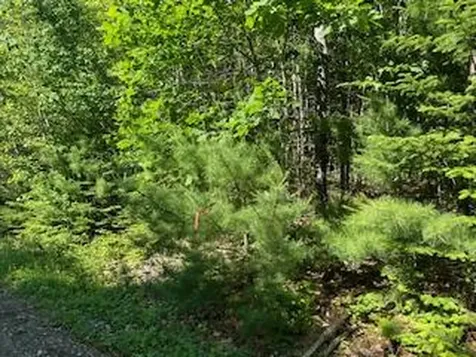 Lot #6 Bonnie Way Winterport ME 04496
