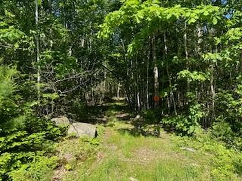 Lot #5 Bonnie Way Winterport ME 04496
