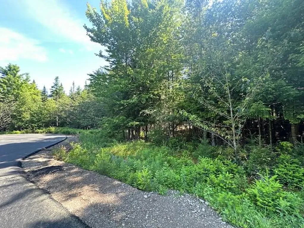 Lot #5 Bonnie Way Winterport ME 04496