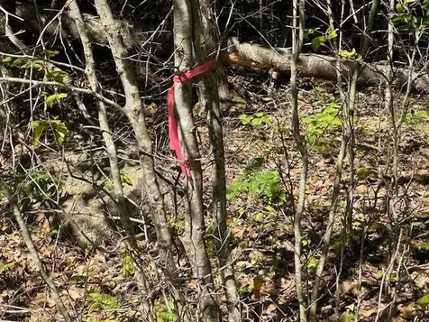 Lot #5 Bonnie Way Winterport ME 04496