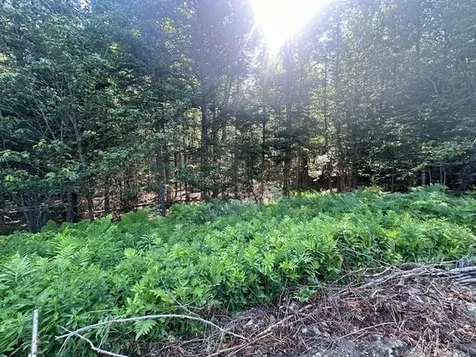 Lot #8 Bonnie Way Winterport ME 04496