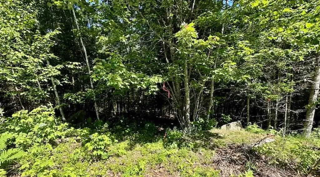 Lot #7 Bonnie Way Winterport ME 04496