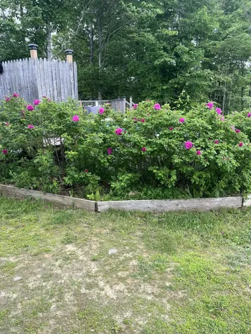 456 Temple Road Farmington ME 04938