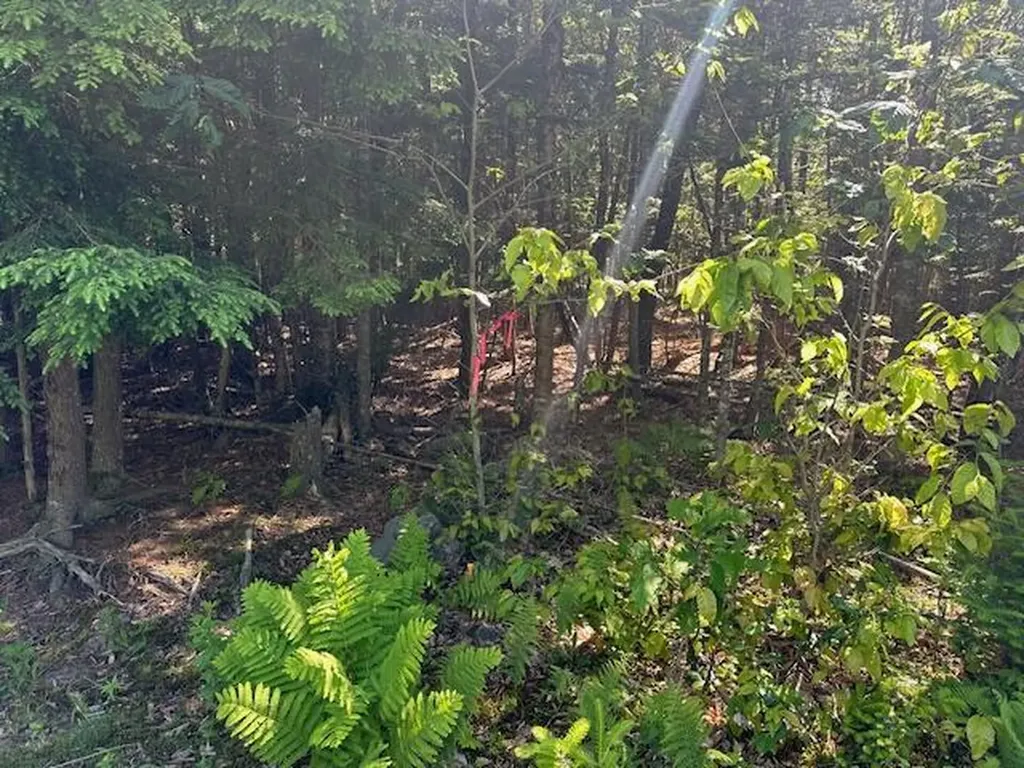 Lot #4 Bonnie Way Winterport ME 04496