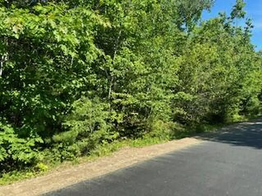 Lot #4 Bonnie Way Winterport ME 04496