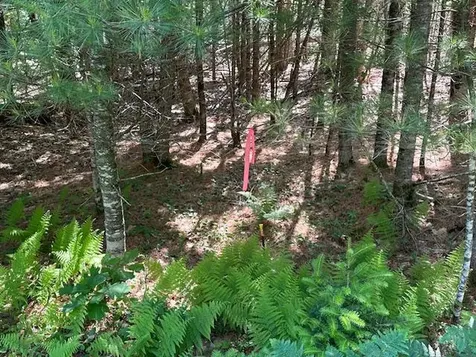 Lot #4 Bonnie Way Winterport ME 04496