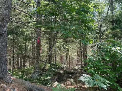 Lot #4 Bonnie Way Winterport ME 04496