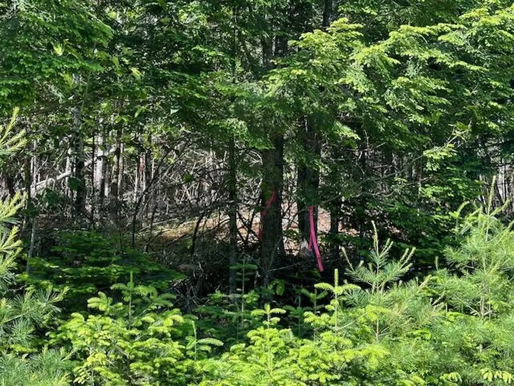 Lot #3 Bonnie Way Winterport ME 04496