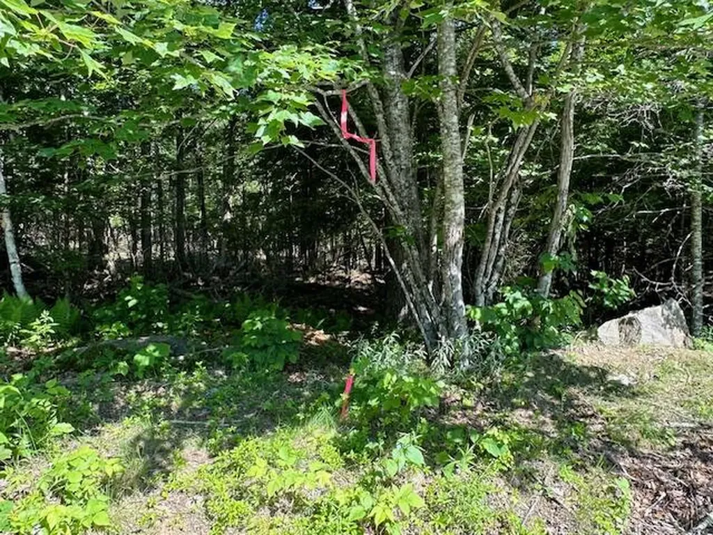 Lot #3 Bonnie Way Winterport ME 04496