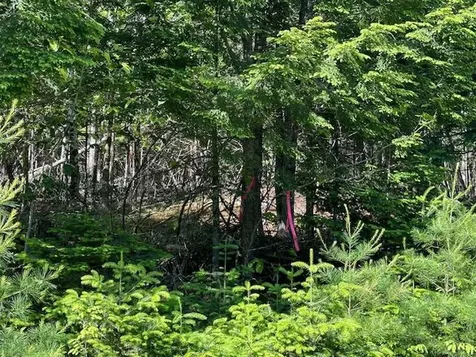 Lot #3 Bonnie Way Winterport ME 04496