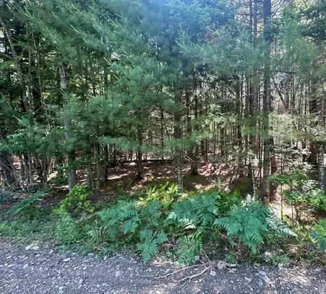 Lot #3 Bonnie Way Winterport ME 04496
