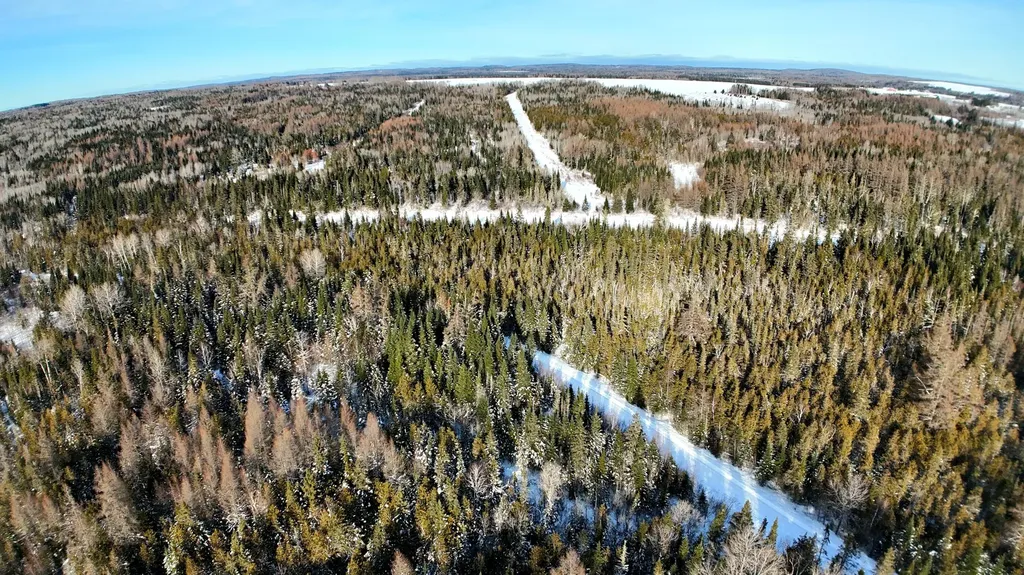 87.5/87.6 Dubay Pit Road Connor Twp ME 04736