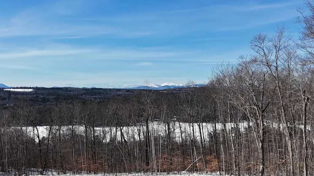 Lot 28 Chapman Street Harrison ME 04040