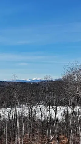 Lot 28 Chapman Street Harrison ME 04040