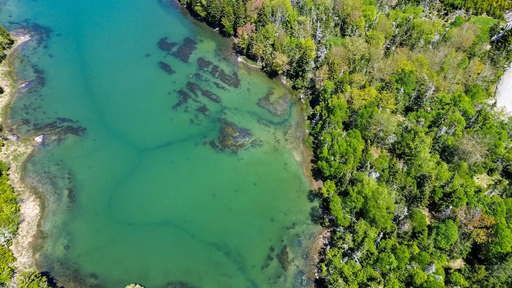 Lot 50 Cove Road Machiasport ME 04655