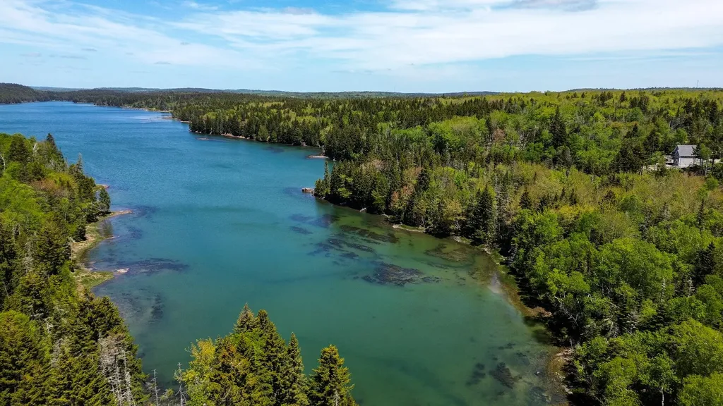 Lot 50 Cove Road Machiasport ME 04655