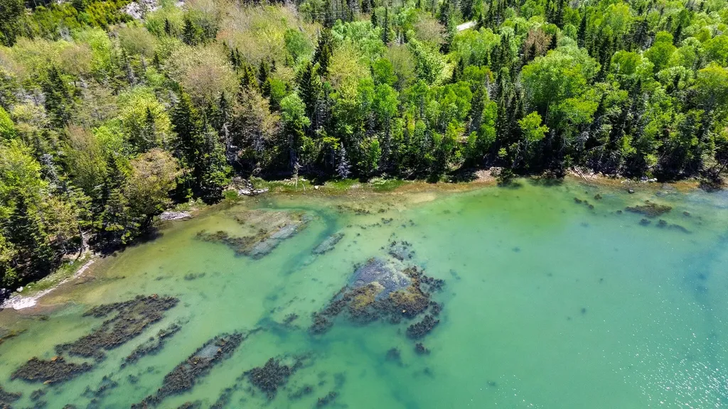 Lot 50 Cove Road Machiasport ME 04655