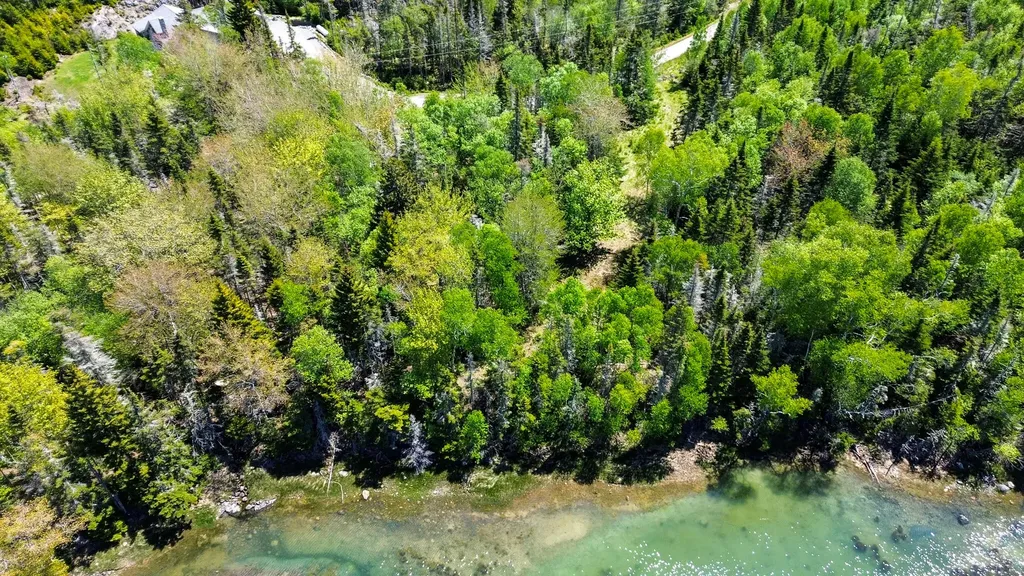 Lot 50 Cove Road Machiasport ME 04655