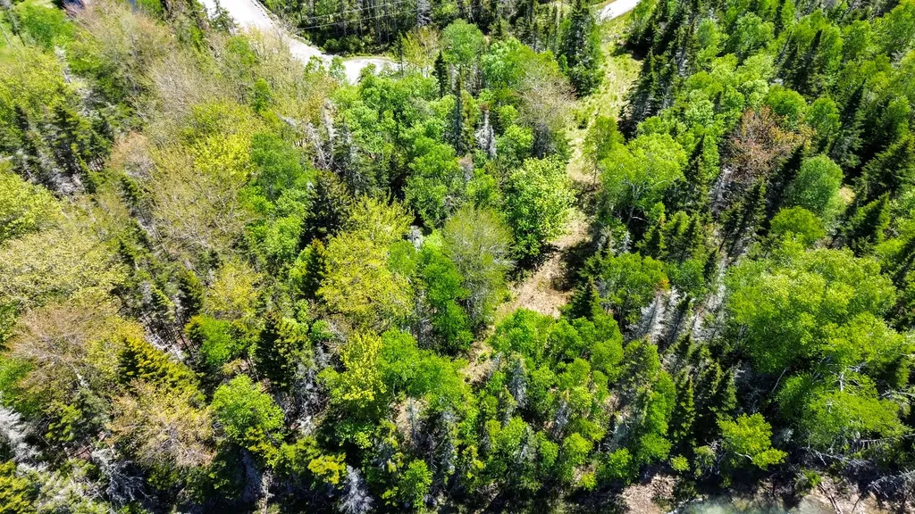 Lot 50 Cove Road Machiasport ME 04655
