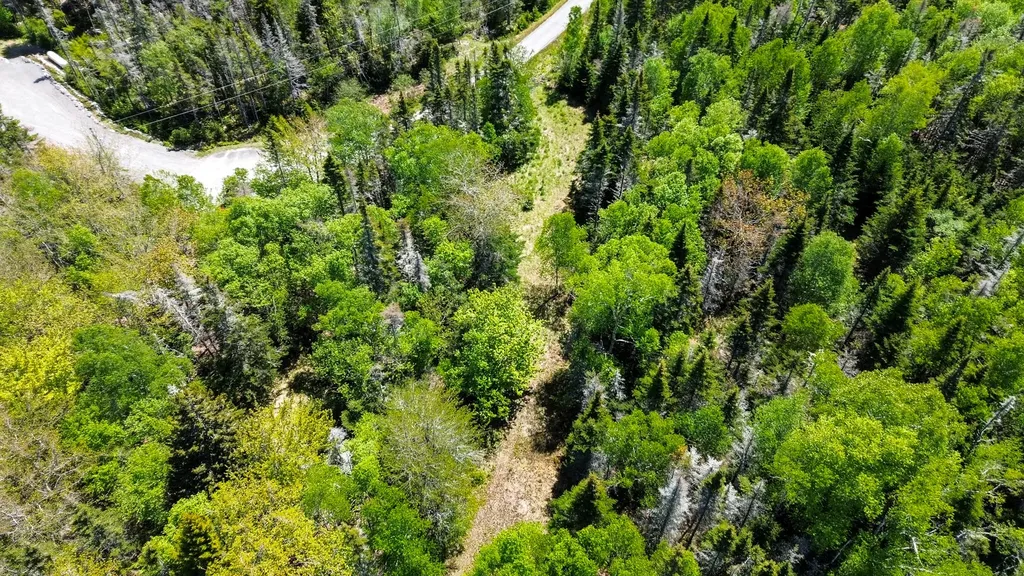 Lot 50 Cove Road Machiasport ME 04655