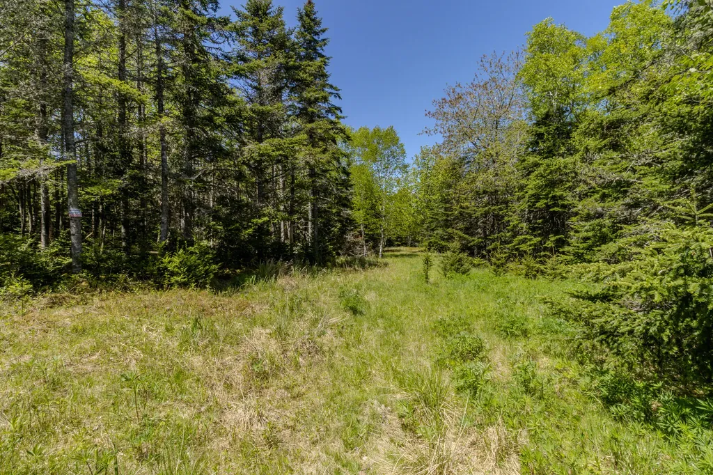 Lot 50 Cove Road Machiasport ME 04655