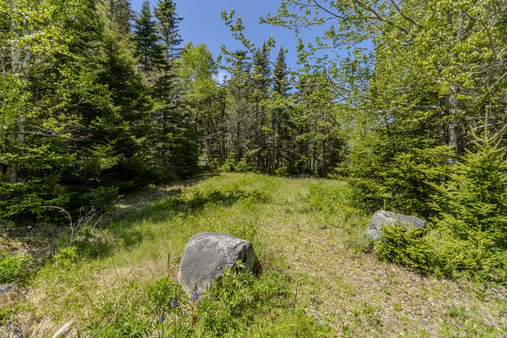 Lot 50 Cove Road Machiasport ME 04655