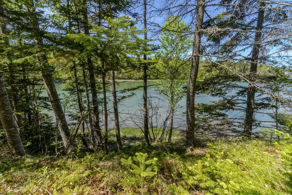 Lot 50 Cove Road Machiasport ME 04655