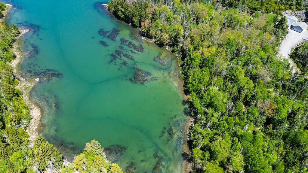 Lot 50 Cove Road Machiasport ME 04655