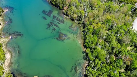 Lot 50 Cove Road Machiasport ME 04655