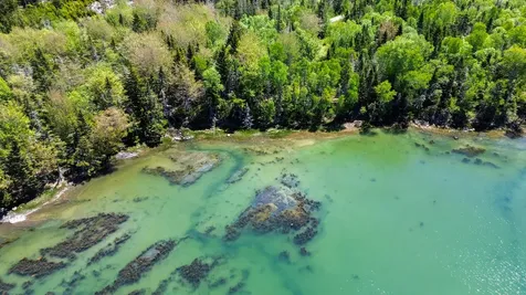 Lot 50 Cove Road Machiasport ME 04655