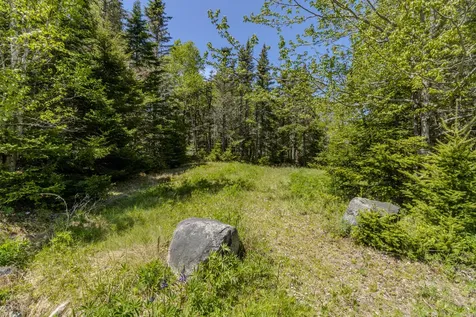 Lot 50 Cove Road Machiasport ME 04655