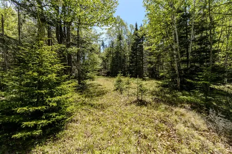 Lot 50 Cove Road Machiasport ME 04655